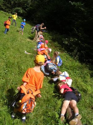 Netzwerk Kolibri - Sommercamp 2007