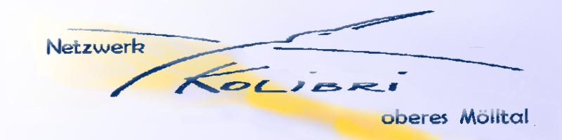 Logo-Netzwerk Kolibri